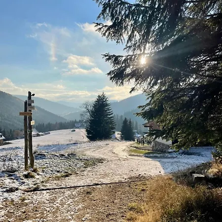 Lilly - Free Parking *