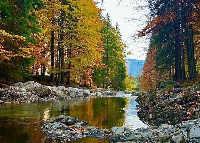 Lilly - Free Parking Appartement