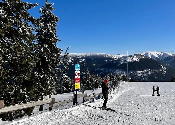 Lilly - Free Parking *