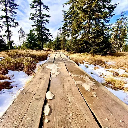 Lilly - Free Parking * スピンドレルフ・ムリン