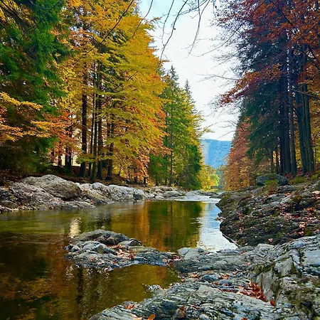 Lilly - Free Parking Appartamento