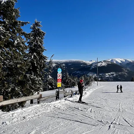 Lilly - Free Parking *