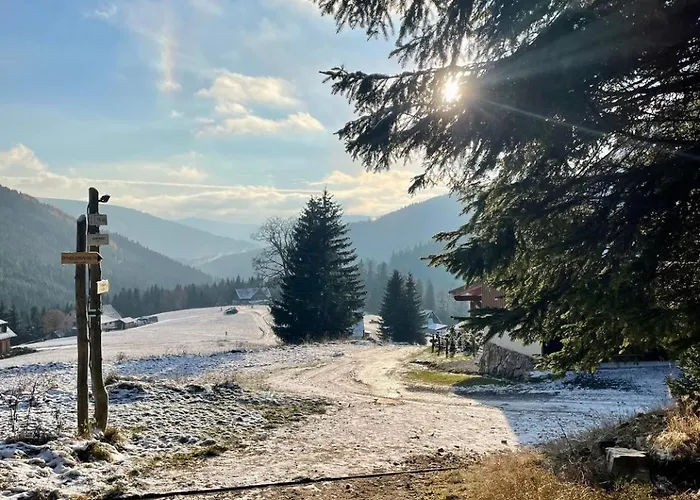 Lilly - Free Parking *